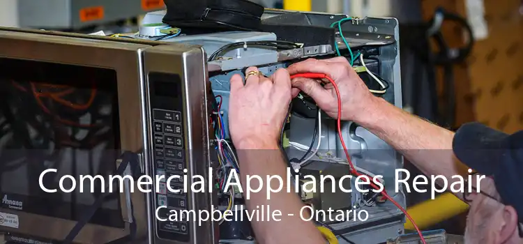 Commercial Appliances Repair Campbellville - Ontario