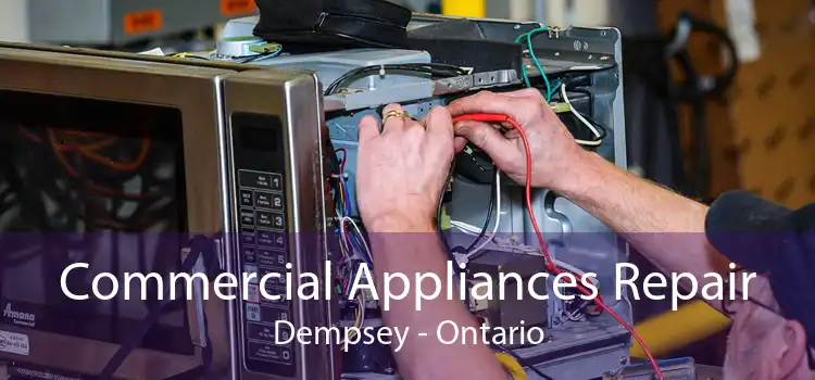 Commercial Appliances Repair Dempsey - Ontario