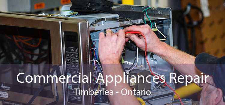 Commercial Appliances Repair Timberlea - Ontario