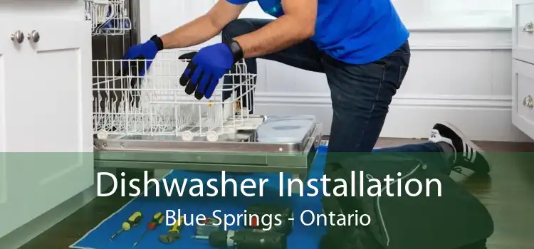 Dishwasher Installation Blue Springs - Ontario