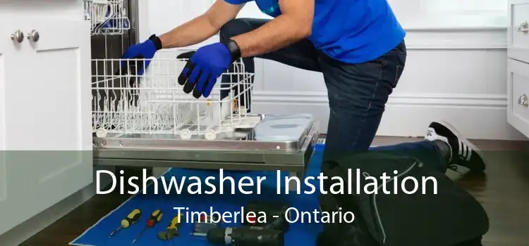 Dishwasher Installation Timberlea - Ontario