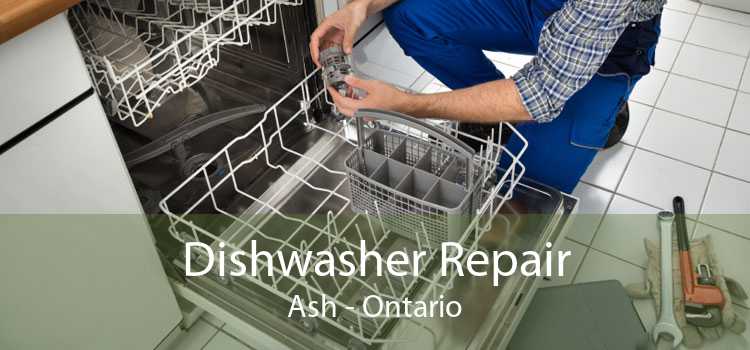 Dishwasher Repair Ash - Ontario