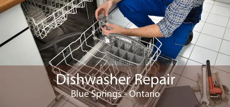 Dishwasher Repair Blue Springs - Ontario