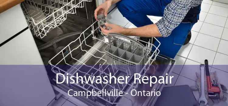 Dishwasher Repair Campbellville - Ontario