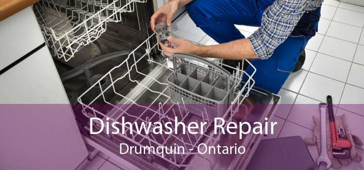 Dishwasher Repair Drumquin - Ontario