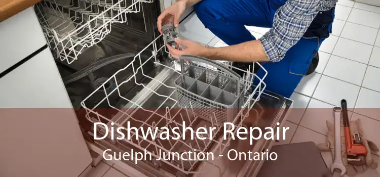 Dishwasher Repair Guelph Junction - Ontario