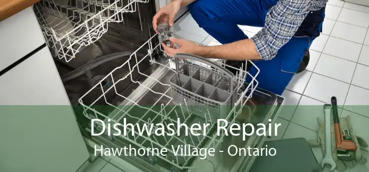 Dishwasher Repair Hawthorne Village - Ontario