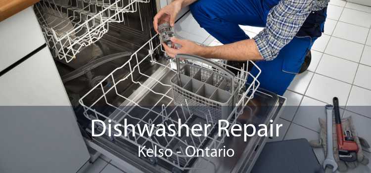 Dishwasher Repair Kelso - Ontario