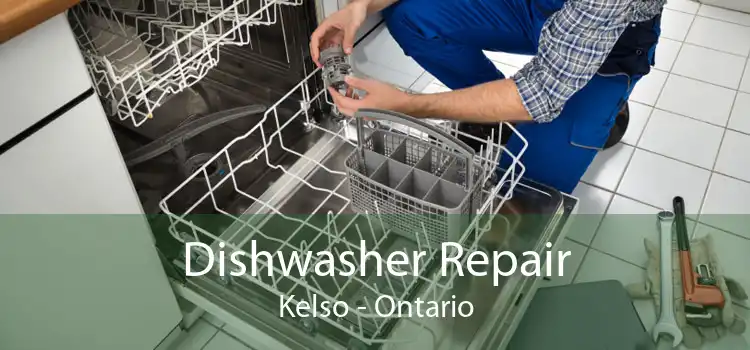 Dishwasher Repair Kelso - Ontario
