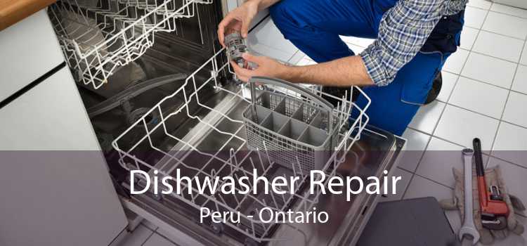 Dishwasher Repair Peru - Ontario
