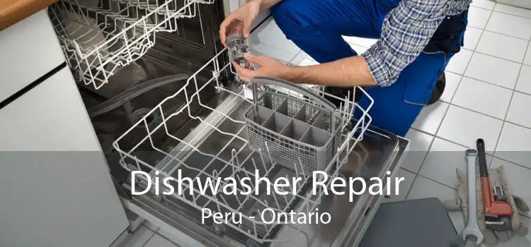 Dishwasher Repair Peru - Ontario