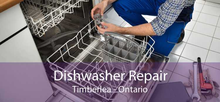 Dishwasher Repair Timberlea - Ontario