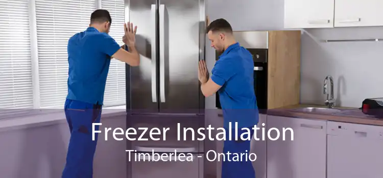 Freezer Installation Timberlea - Ontario