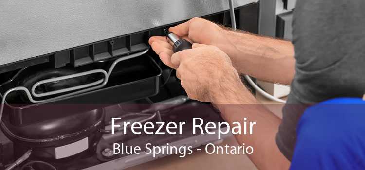 Freezer Repair Blue Springs - Ontario