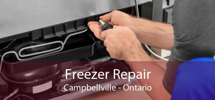 Freezer Repair Campbellville - Ontario