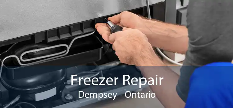 Freezer Repair Dempsey - Ontario