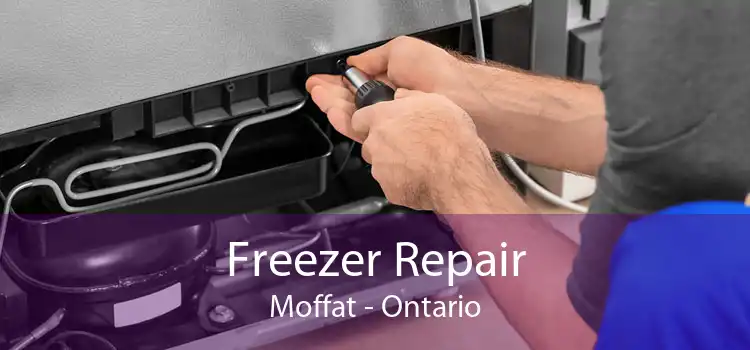Freezer Repair Moffat - Ontario