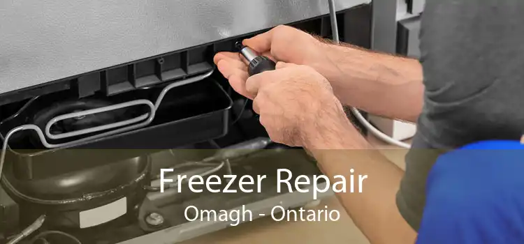 Freezer Repair Omagh - Ontario
