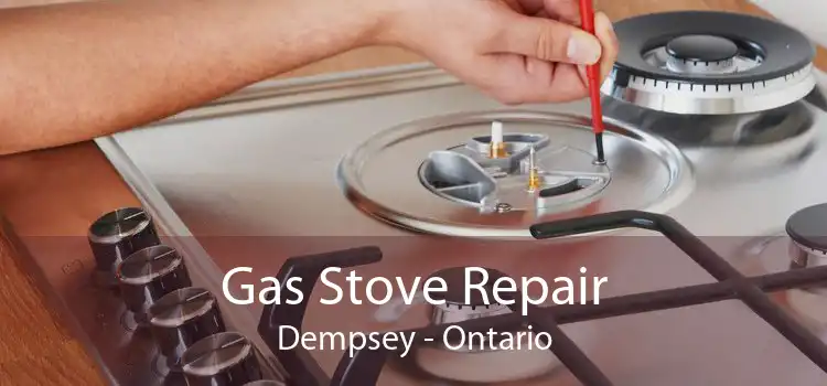 Gas Stove Repair Dempsey - Ontario