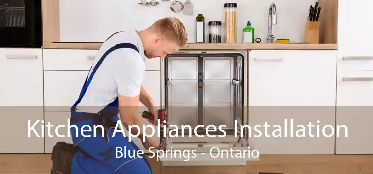 Kitchen Appliances Installation Blue Springs - Ontario