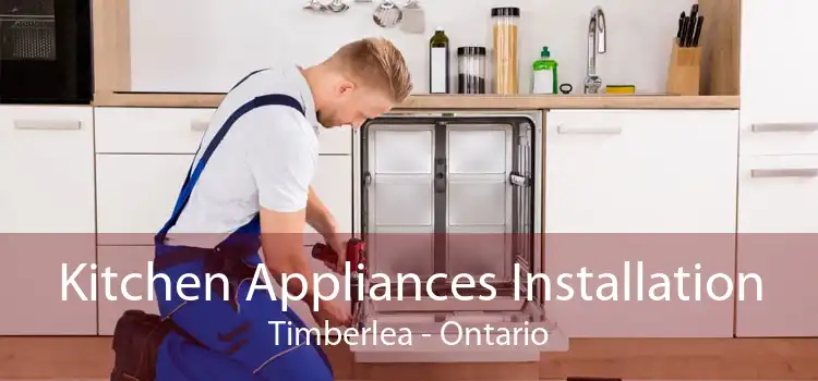 Kitchen Appliances Installation Timberlea - Ontario