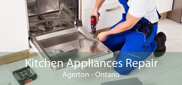 Kitchen Appliances Repair Agerton - Ontario