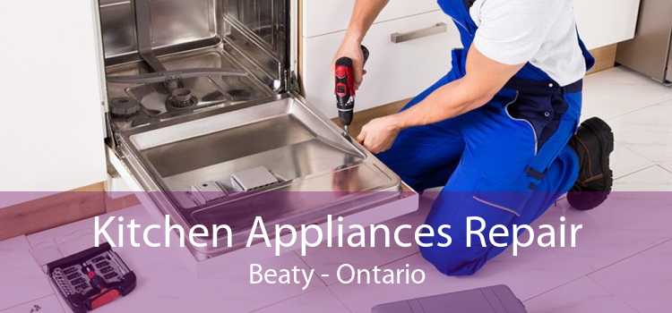 Kitchen Appliances Repair Beaty - Ontario