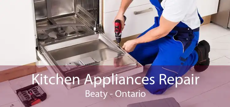 Kitchen Appliances Repair Beaty - Ontario
