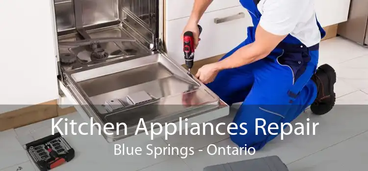 Kitchen Appliances Repair Blue Springs - Ontario