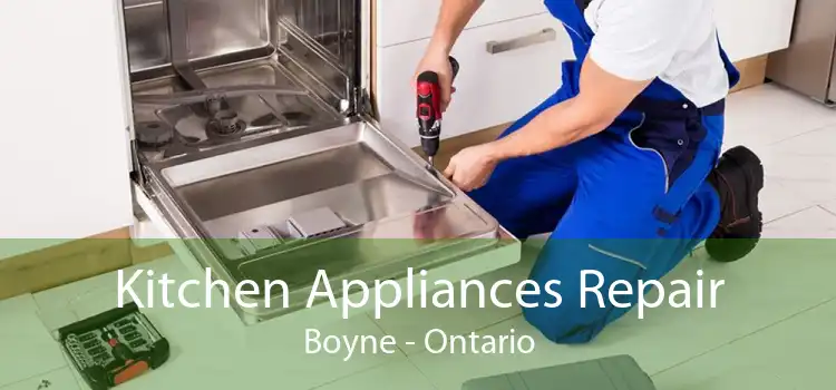 Kitchen Appliances Repair Boyne - Ontario