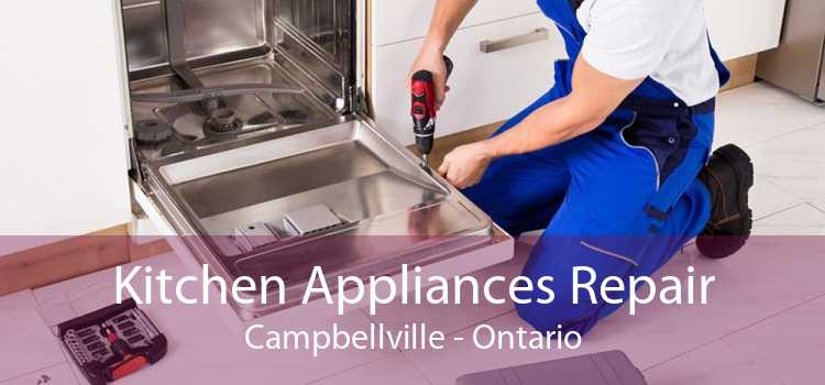 Kitchen Appliances Repair Campbellville - Ontario