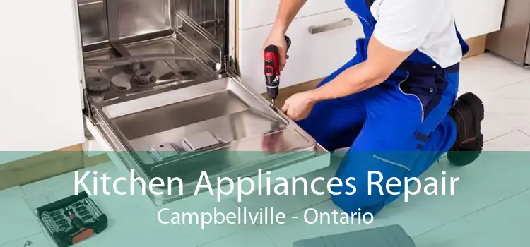 Kitchen Appliances Repair Campbellville - Ontario