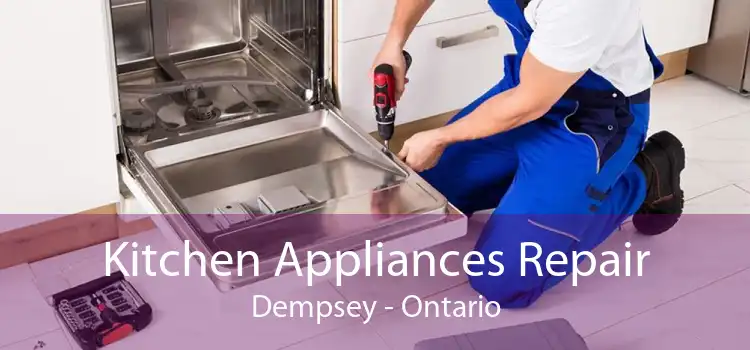 Kitchen Appliances Repair Dempsey - Ontario