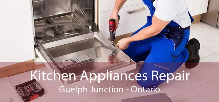 Kitchen Appliances Repair Guelph Junction - Ontario