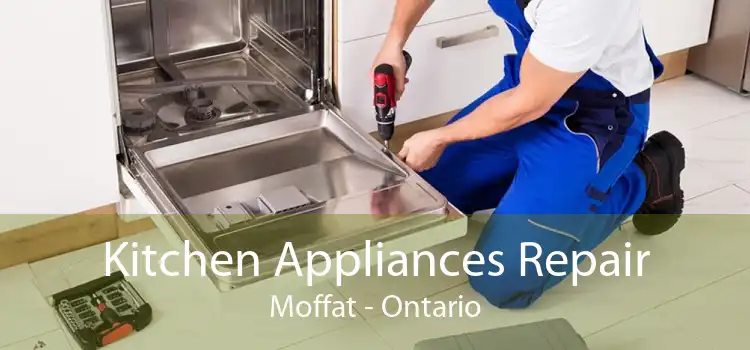 Kitchen Appliances Repair Moffat - Ontario