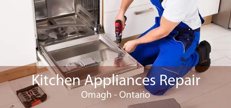 Kitchen Appliances Repair Omagh - Ontario