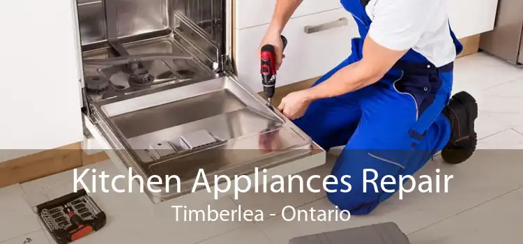 Kitchen Appliances Repair Timberlea - Ontario