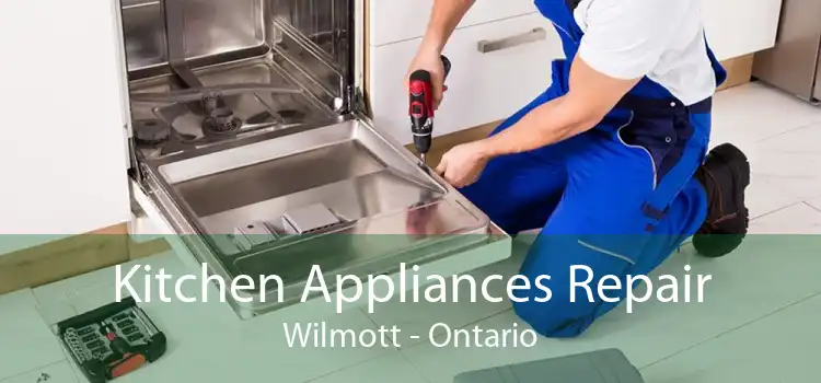 Kitchen Appliances Repair Wilmott - Ontario