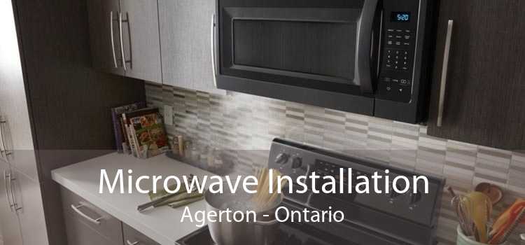 Microwave Installation Agerton - Ontario