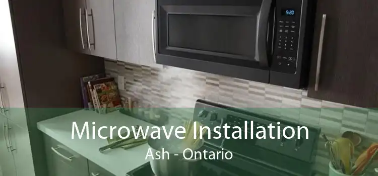 Microwave Installation Ash - Ontario