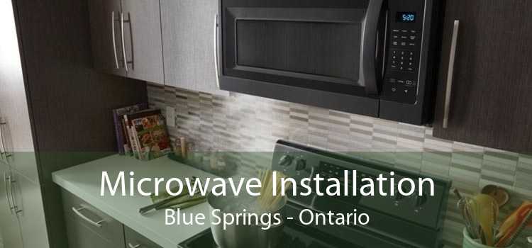 Microwave Installation Blue Springs - Ontario