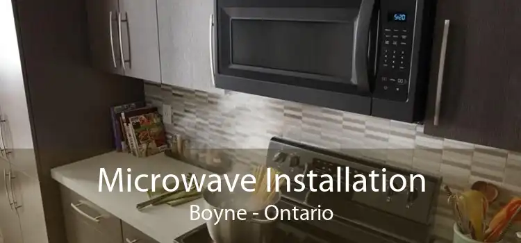 Microwave Installation Boyne - Ontario