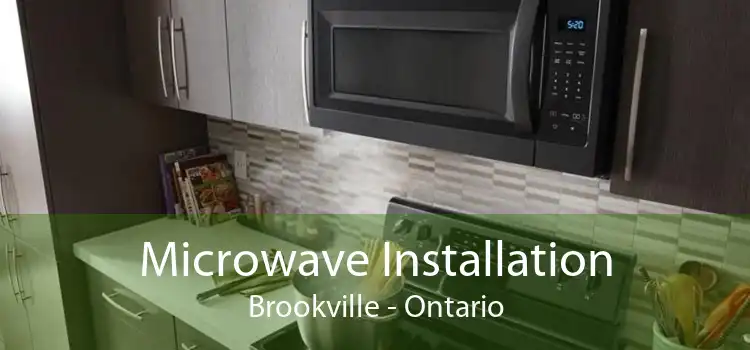 Microwave Installation Brookville - Ontario