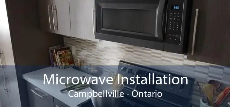 Microwave Installation Campbellville - Ontario