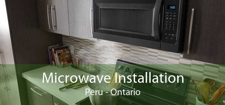 Microwave Installation Peru - Ontario