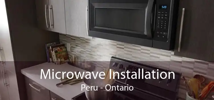 Microwave Installation Peru - Ontario