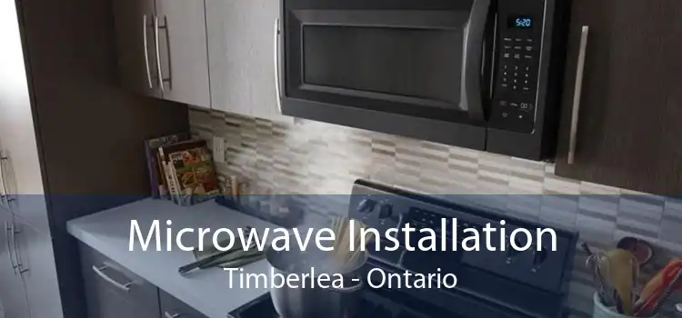 Microwave Installation Timberlea - Ontario