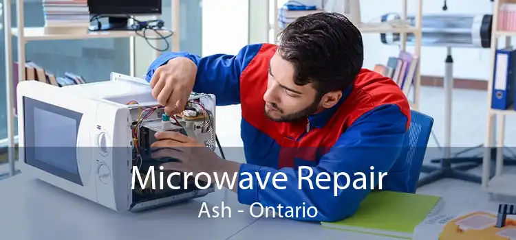 Microwave Repair Ash - Ontario