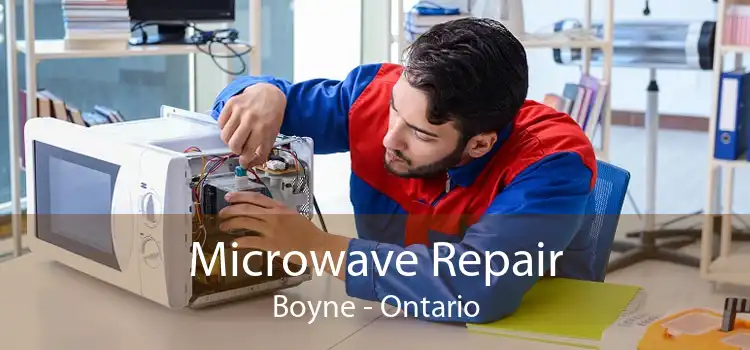 Microwave Repair Boyne - Ontario