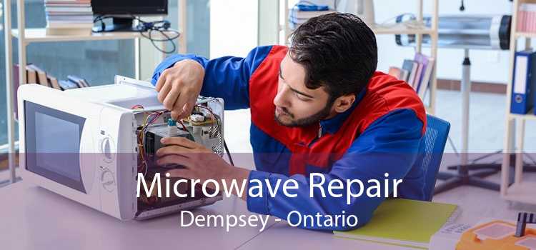 Microwave Repair Dempsey - Ontario
